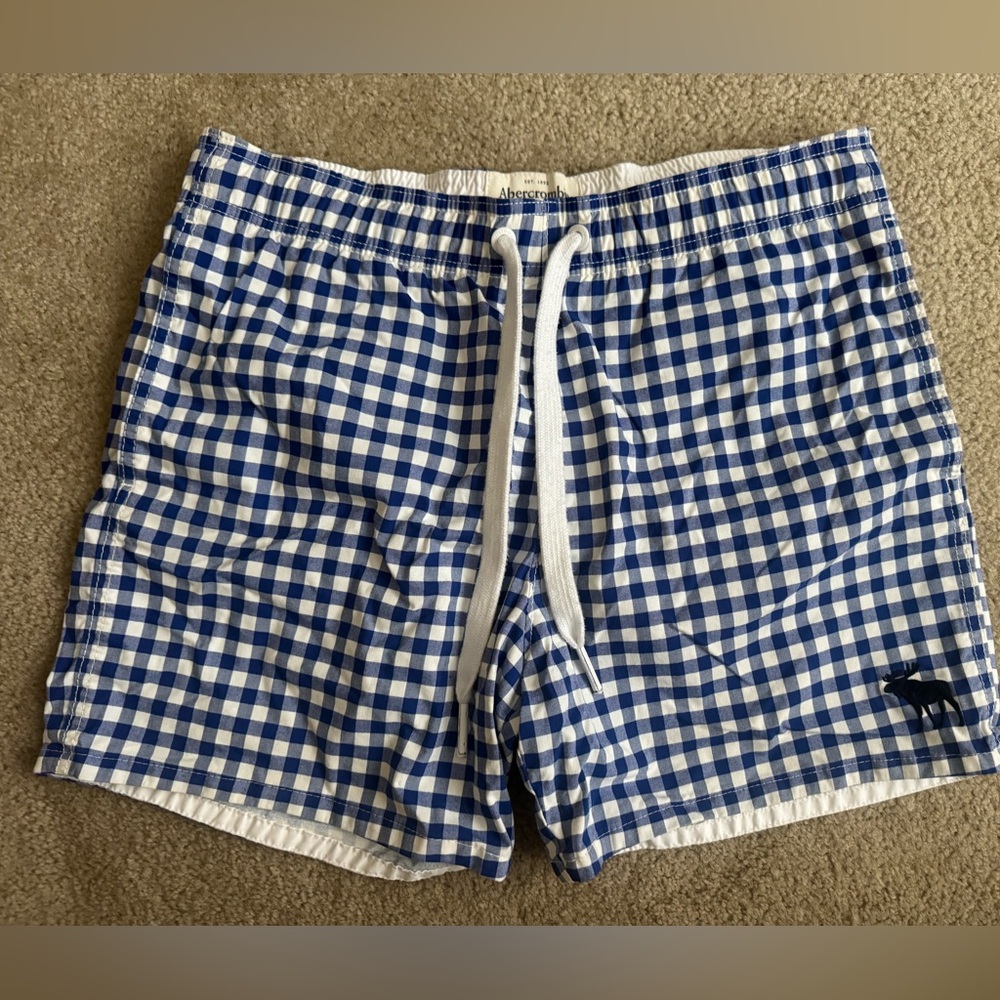 Abercrombie & Fitch Blue Gingham Swim Trunks